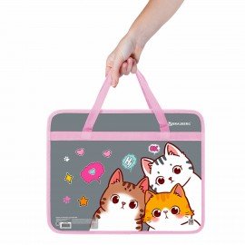 Папка на молнии с ручками BRAUBERG А4, 1 отделение, пластик, 80 мм, Hi there, 273370