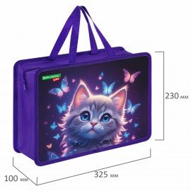 Папка на молнии с ручками BRAUBERG KIDS А4, 1 отделение, пластик, 100 мм, Curious cat, 273376