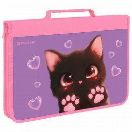 Папка на молнии BRAUBERG А4 с ручкой, с органайзером, 1 отделение, Paw prints, 273383