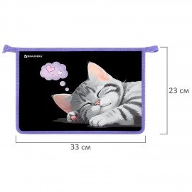 Папка для труда на молнии BRAUBERG А4, 2 отделения, органайзер, Sleeping kitten, 273401