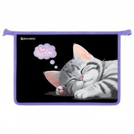 Папка для труда на молнии BRAUBERG А4, 2 отделения, органайзер, Sleeping kitten, 273401