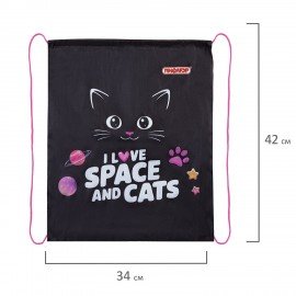 Мешок для обуви ПИФАГОР, 1 отделение, 42х34 см, Dark kitten, 273419