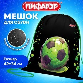 Мешок для обуви ПИФАГОР, 1 отделение, 42х34 см, Offline, 273424
