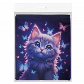 Мешок для обуви BRAUBERG KIDS, с петлей, 42х34 см, Curious cat, 273434