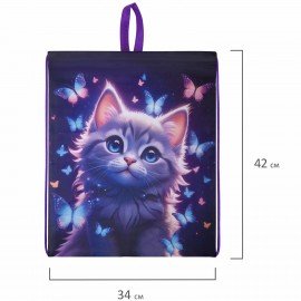 Мешок для обуви BRAUBERG KIDS, с петлей, 42х34 см, Curious cat, 273434