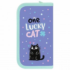 Пенал ПИФАГОР, 2 отделения, ламинированный картон, 19х11 см, Funny cats, 273481