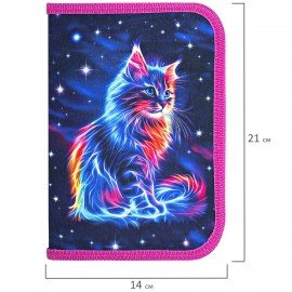 Пенал BRAUBERG, 1 отделение, полиэстер, 21х14 см, Space cat, 273518
