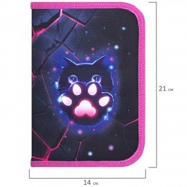 Пенал BRAUBERG, 1 отделение, 1 откидная планка, полиэстер, 21х14 см, Pink lava, 273522