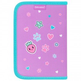 Пенал BRAUBERG, 1 отделение, 1 откидная планка, полиэстер, 21х14 см, Funny kittens, 273523