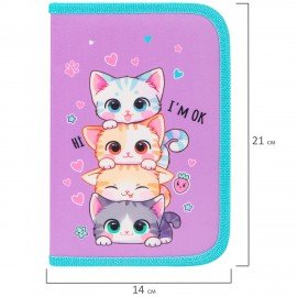 Пенал BRAUBERG, 1 отделение, 1 откидная планка, полиэстер, 21х14 см, Funny kittens, 273523