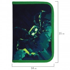 Пенал BRAUBERG, 1 отделение, 1 откидная планка, полиэстер, 21х14 см, Ominous spider, 273525