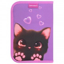 Пенал BRAUBERG, 1 отделение, 2 откидные планки, полиэстер, 21х14 см, Paw prints, 273526