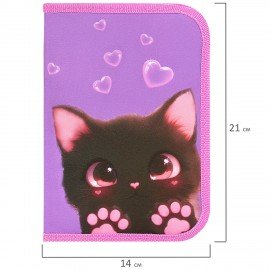 Пенал BRAUBERG, 1 отделение, 2 откидные планки, полиэстер, 21х14 см, Paw prints, 273526