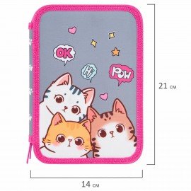 Пенал BRAUBERG, 2 отделения, полиэстер, 21х14 см, Hi there, 273536