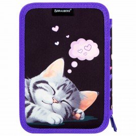Пенал BRAUBERG, 3 отделения, полиэстер, 21х14 см, Sleeping kitten, 273538