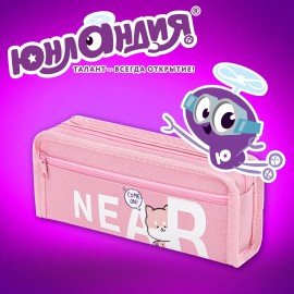 Пенал ЮНЛАНДИЯ ЮНИОР, 2 отделения, полиэстер, Near you, 21х8х6 см, 273811