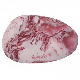 Ластик фигурный FUNSTER (ФАНСТЕР) "ПАЛЕОНТОЛОГ", цвета ассорти, пакет, 274017