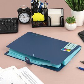 Папка-органайзер на кнопке 5 отделений, BRAUBERG "Extra", А4, синяя с голубым, 274096