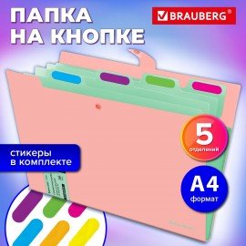 Папка-органайзер на кнопке 5 отделений, BRAUBERG "Extra", А4, персиковая с мятным, 274097