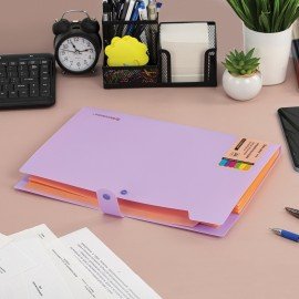 Папка-органайзер на кнопке 5 отделений, BRAUBERG "Extra", А4, лиловая с персиковым, 274098