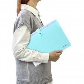 Папка-органайзер на кнопке 5 отделений, BRAUBERG "Extra", А4, голубая с лиловым, 274099