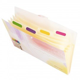 Папка-органайзер на кнопке 5 отделений, BRAUBERG "Extra", А4, пастельные узоры, 274100