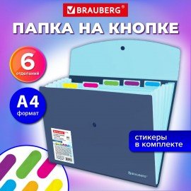 Папка-органайзер конверт на кнопке 6 отделений, BRAUBERG "Extra", A4, синяя с голубым, 274103