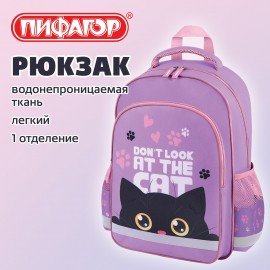 Рюкзак ПИФАГОР SCHOOL, 1 отделение, 3 кармана, "Observer cat", 38x28х14 см, 274437
