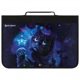 Папка на молнии BRAUBERG А4 с ручкой, с органайзером, 1 отделение, "Star cat", 274475