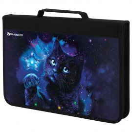 Папка на молнии BRAUBERG А4 с ручкой, с органайзером, 1 отделение, "Star cat", 274475