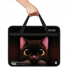 Папка на молнии с ручками BRAUBERG А4, 1 отделение, пластик, 80 мм, "Big black cat", 274495