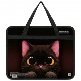 Папка на молнии с ручками BRAUBERG А4, 1 отделение, пластик, 80 мм, "Big black cat", 274495