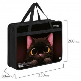 Папка на молнии с ручками BRAUBERG А4, 1 отделение, пластик, 80 мм, "Big black cat", 274495