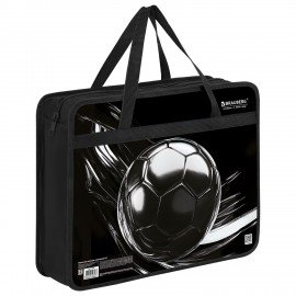 Папка на молнии с ручками BRAUBERG А4, 1 отделение, пластик, 80 мм, "Metal ball", 274499