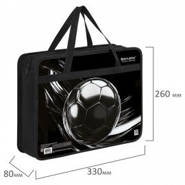 Папка на молнии с ручками BRAUBERG А4, 1 отделение, пластик, 80 мм, "Metal ball", 274499