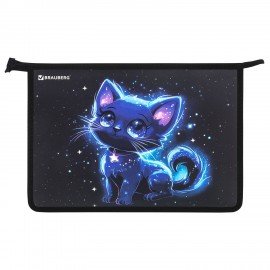 Папка для труда на молнии BRAUBERG А4, 2 отделения, органайзер, "Space kitten", 274531