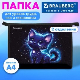 Папка для труда на молнии BRAUBERG А4, 2 отделения, органайзер, "Space kitten", 274531