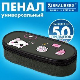 Пенал-футляр BRAUBERG, 1 отделение, органайзер, полиэстер, 22x9х5 см, "Pixel cat", 274585