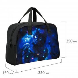 Сумка для занятий BRAUBERG с ручками, 35x25x15 см, "Star cat", 274627