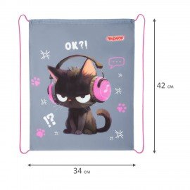 Мешок для обуви ПИФАГОР, 1 отделение, 42х34 см, "Ruffled kitten", 274631