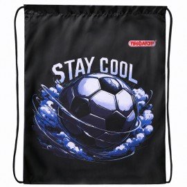 Мешок для обуви ПИФАГОР, 1 отделение, 42х34 см, "Stay cool", 274632