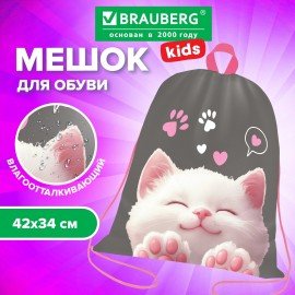 Мешок для обуви BRAUBERG KIDS, с петлей, 42х34 см, "Purr cat", 274640