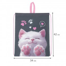 Мешок для обуви BRAUBERG KIDS, с петлей, 42х34 см, "Purr cat", 274640