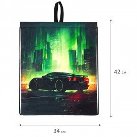Мешок для обуви BRAUBERG KIDS, с петлей, 42х34 см, "Green city", 274642