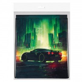 Мешок для обуви BRAUBERG KIDS, с петлей, 42х34 см, "Green city", 274642