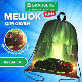 Мешок для обуви BRAUBERG KIDS, с петлей, 42х34 см, "Green city", 274642