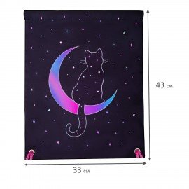 Мешок для обуви BRAUBERG PREMIUM, карман, подкладка, светоотражайка, 43х33 см, "Night moon", 274645