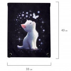 Мешок для обуви BRAUBERG PREMIUM, карман, подкладка, светоотражайка, 43х33 см, "White kitten", 274646