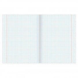 Тетрадь А5, 48 л., BRAUBERG скоба, клетка, обложка картон, GREEN NATURE, 403033