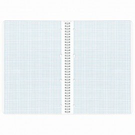 Тетрадь А4, 96 л., BRAUBERG, гребень, клетка, обложка картон, КРАСИВЫЕ ЦВЕТЫ, 403072